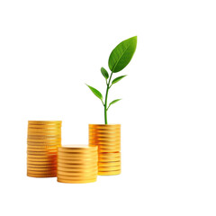 Growth Concept with Coins and Green Plant on White Background