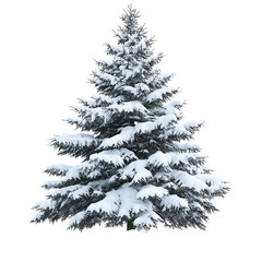 Fototapeta premium Snow-covered fir tree png isolated on transparent background