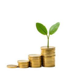 "Growing Wealth Concept – Golden Coin Stack with Green Sprout"