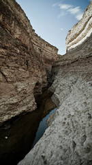 Oasi e canyon di Mides, regione di Tezeur
