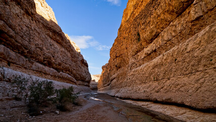 Oasi e canyon di Mides, regione di Tezeur
