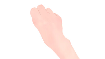 Obraz premium Close-up of woman's right hand clenched in a fist, minimal realistic hand-drawn style.未命名的作品