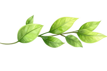 Green Leaves Grow on a Branch, Botany Illustration with Plant Life Theme.