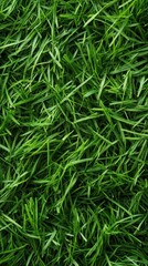 Obraz premium Close-up view of a lush green grass lawn featuring a rich texture that provides a natural fresh appearance. Ideal for backgrounds adding a touch of nature to various designs or layouts