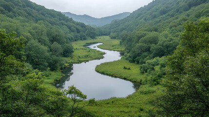 Serpentine river meandering through lush green valley