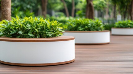 Eco-friendly Playground Concept, Circular planters crafted from biodegradable materials enhance outdoor spaces with greenery and sustainable design