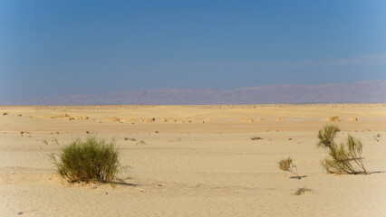 Il deserto del Sahara nella regione di Tezeur le località di Ong Jmal e il villaggio di Star Wars. Tunisia Nord Africa