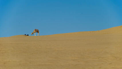 Obraz premium Il deserto del Sahara nella regione di Tezeur le località di Ong Jmal e il villaggio di Star Wars. Tunisia Nord Africa