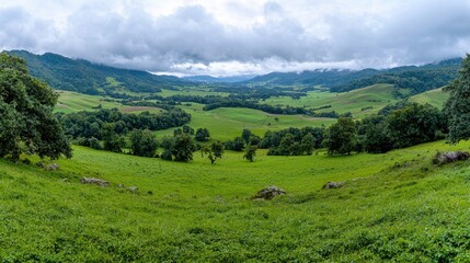 Lush Green Valley Under Cloudy Sky