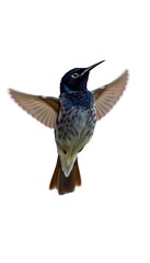 Fototapeta premium Full Body Background