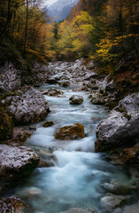 Fototapeta premium turquoise, entirely natural river in the valley of avant-garde nature, forest, and mountains