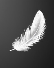 Obraz premium Elegant white feather on dark background symbolizing remembrance, spiritual tribute, and gentle condolence, perfect for memorial designs and sympathy messages