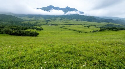 Fototapeta premium Mountainous meadow landscape, misty peaks, green fields, calm scenery, travel postcard