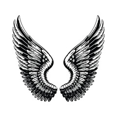 Fototapeta premium Majestic Spread Wings: Detailed Black and White Vector Illustration