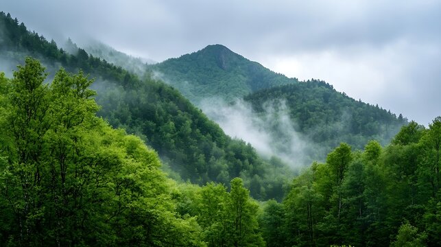 Misty mountain landscape with lush green trees and fog surrounding the hills on a cloudy day : Generative AI