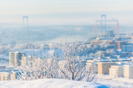 Snow covered trees showcase the beauty of Gothenburg city in winter's embrace while bridges peek through the misty horizon