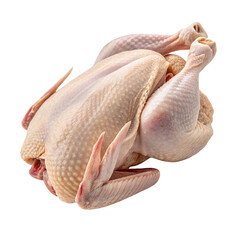 fresh raw chicken