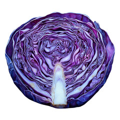 Obraz premium red cabbage cross section, isolated on black