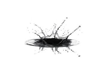 A delicate splash of water created by dropping a single stone into a still body of water, capturing the precise moment of impact and the surrounding ripples.