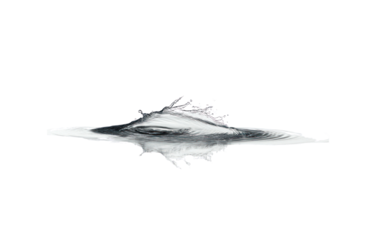 A delicate splash of water created by dropping a single stone into a still body of water, capturing the precise moment of impact and the surrounding ripples.