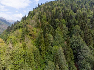 Scenic view of the forest in the mountains against the sky from a bird's-eye view