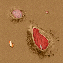 Red fresh open wound with blood, skin, muscle, bone on zombie forearm and finger illustration