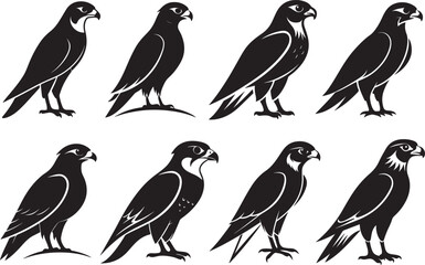 Set of Falcon bird silhouette, black and white silhouette, vector and illustration