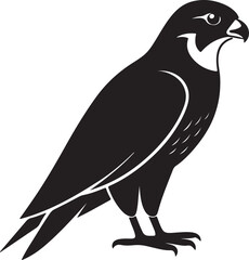Falcon bird silhouette, black and white silhouette, vector and illustration