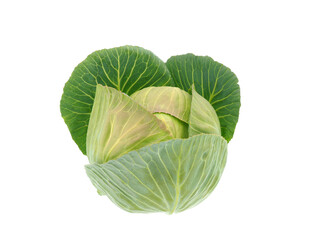 Morama cabbage isolated on white background, Brassica oleracea