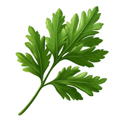 fresh green parsley leaf isolated on transparent background. generative ai