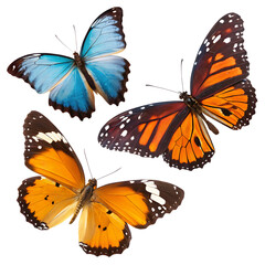 Fototapeta premium set of butterflies isolated on white background png