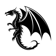black and white dragon