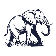 vector illustration of an elephant