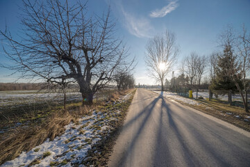 Droga asfaltowa przez wiejskie otoczenie województwo świętokrzyskie słoneczne zimowe popołudnie Droga asfaltowa otoczona nagimi drzewami rzucającymi długie cienie rozciąga się przez wiejski krajobraz