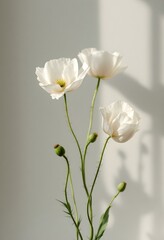 Obraz premium white flower in a vase