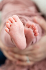 Close-up of newborn baby feet gently cradled in hand