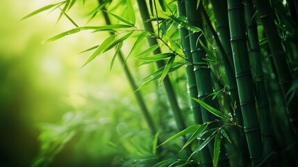 Close-up of bamboo forest with vibrant green leaves, dew drops glistening on the surface, and thick bamboo stalks. Sunlight filters through the lush foliage, creating a serene and detailed texture.