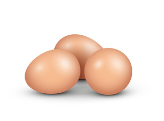 Vector realistic illustration of group of eggs isolated on white background