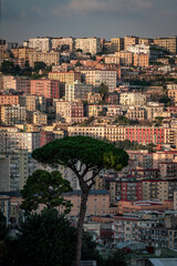 Fototapeta premium Cityscape of Naples, Italy. Buildings, Architecture.