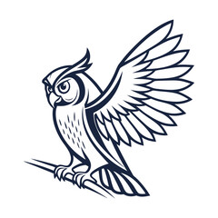 owl on white background