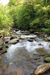 Waterfall on the East Lynn River, Devon, England
