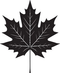 Fall Leaf silhouette vector