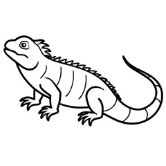 Minimal Iguana Vector