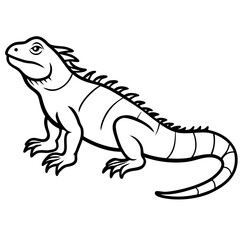 Minimal Iguana Vector