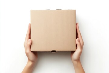 Hands holding a plain cardboard box