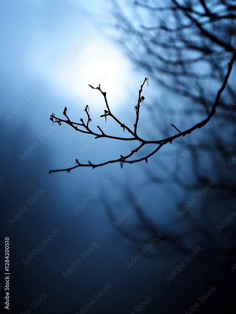 Leinwandbilder eerie close up of leafless branches silhouetted against a misty blue background creating a mysteriou