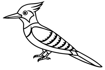 Minimalist Woodpecker Vector