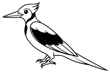 Minimalist Woodpecker Vector