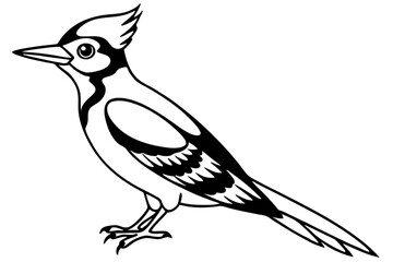 Minimalist Woodpecker Vector