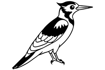 Minimalist Woodpecker Vector